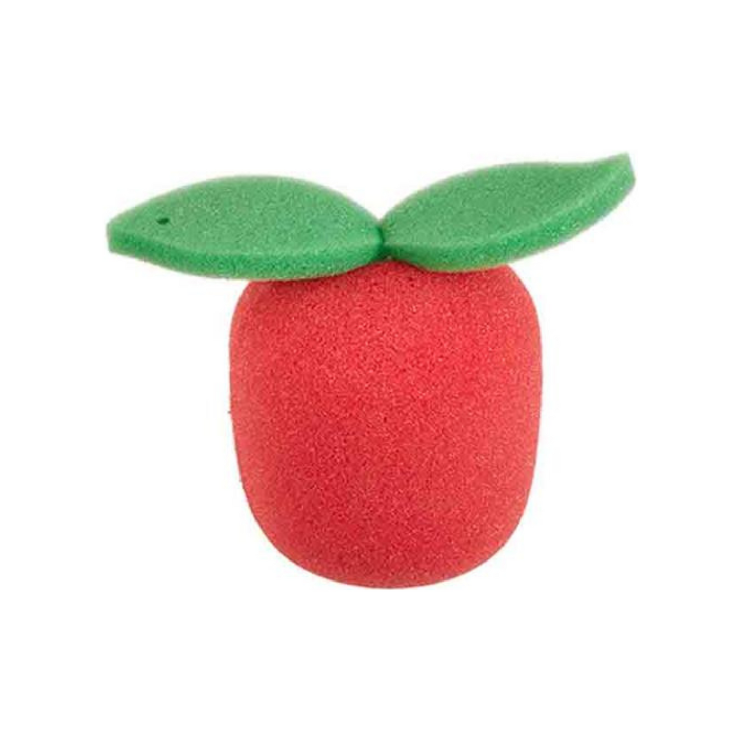 Fruit Sponges