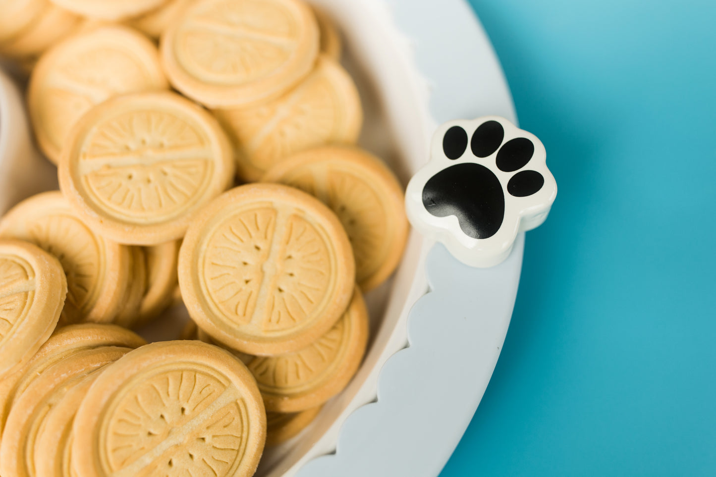 It's Paw-ty Time (Paw Print) Mini
