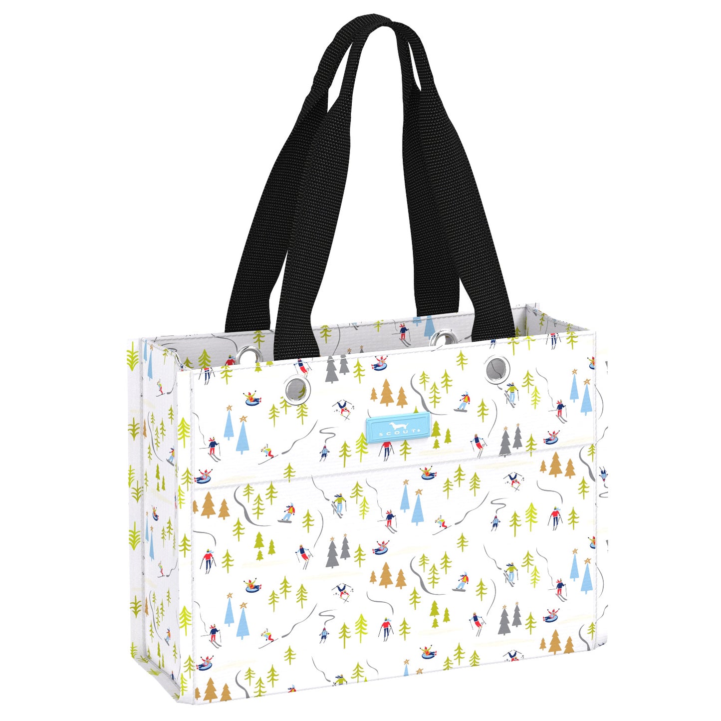 Tiny Package Gift Bag - Lift Ticket