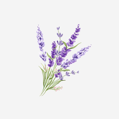 Fresh Scents