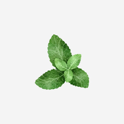 Herbal Scents