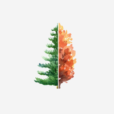 Seasonal Scents