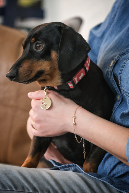 Collar Charm/Bracelet Set - Gold Bone