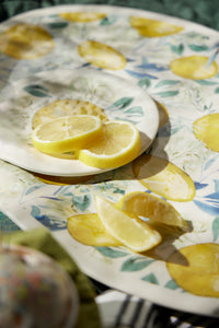 Oval Melamine Platter - Lemons