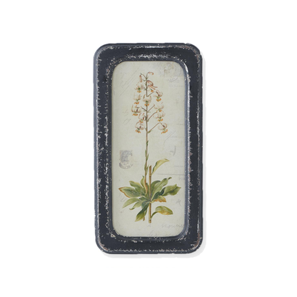 Framed Botanical Art Print