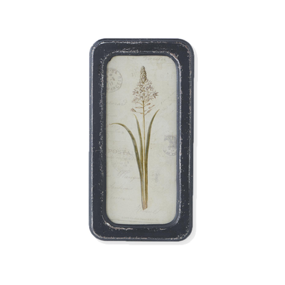 Framed Botanical Art Print
