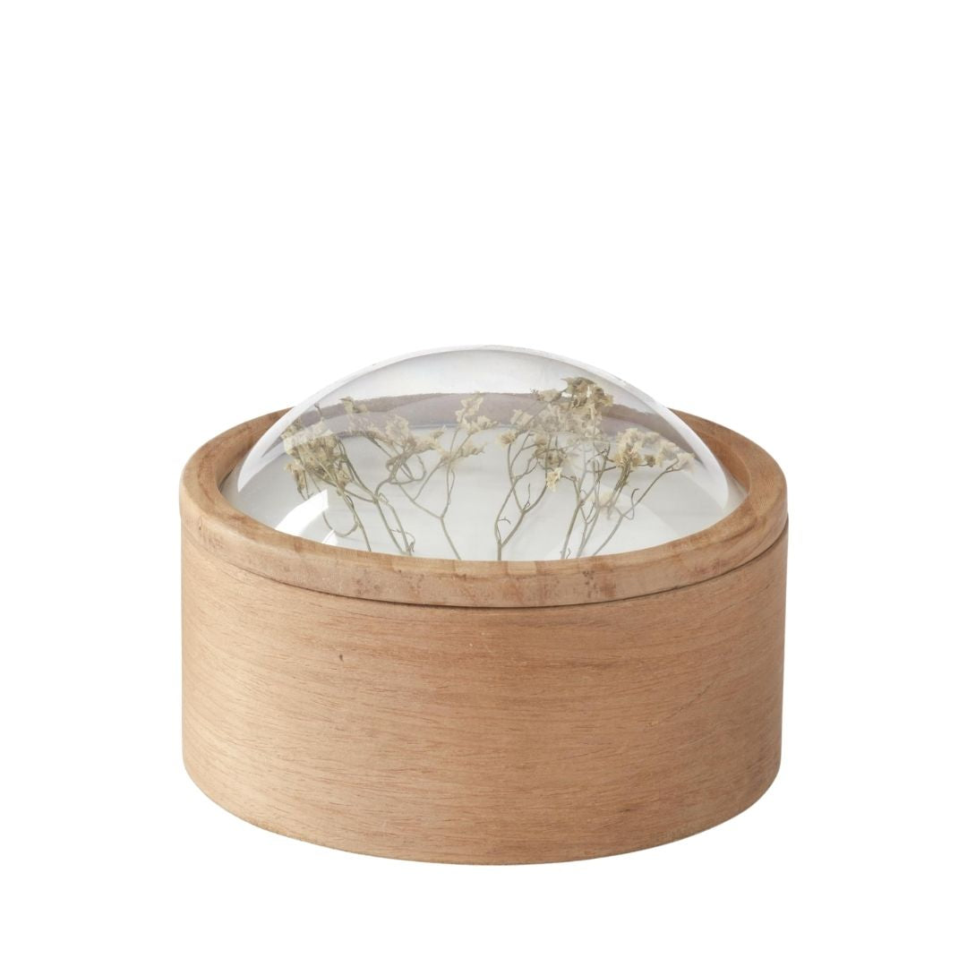 Dome Top Dried Floral Container