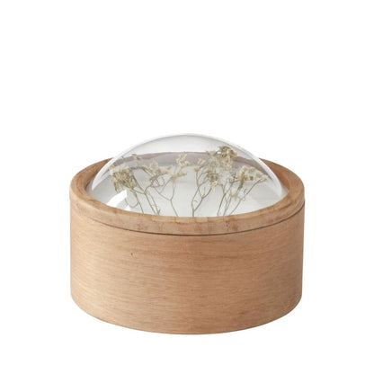 Dome Top Dried Floral Container