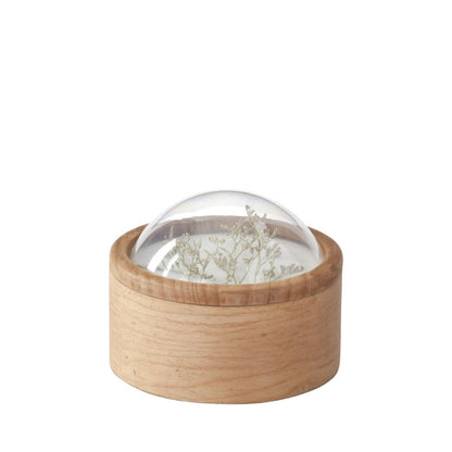 Dome Top Dried Floral Container