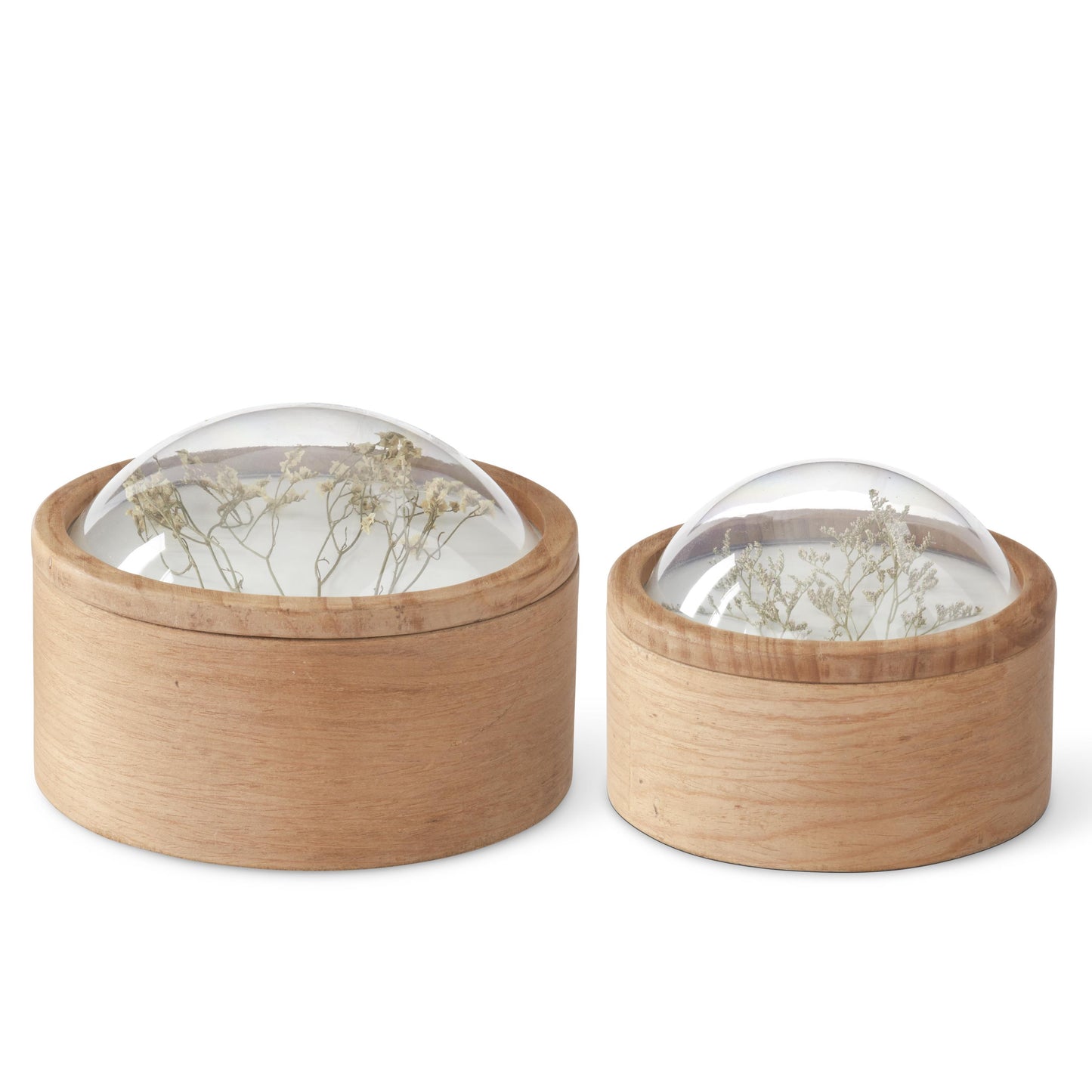 Dome Top Dried Floral Container