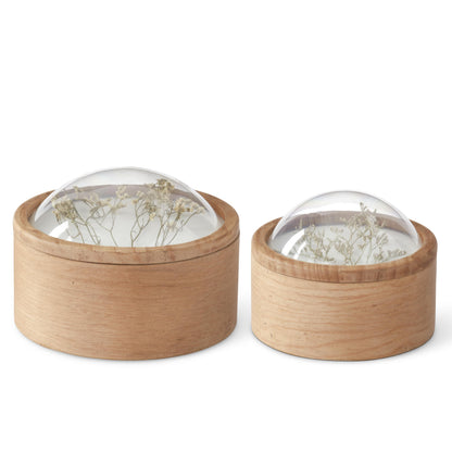 Dome Top Dried Floral Container