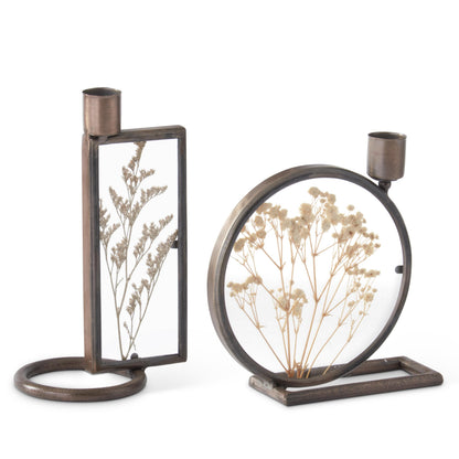 Round Dried Floral Display Taper Candleholder & Frame