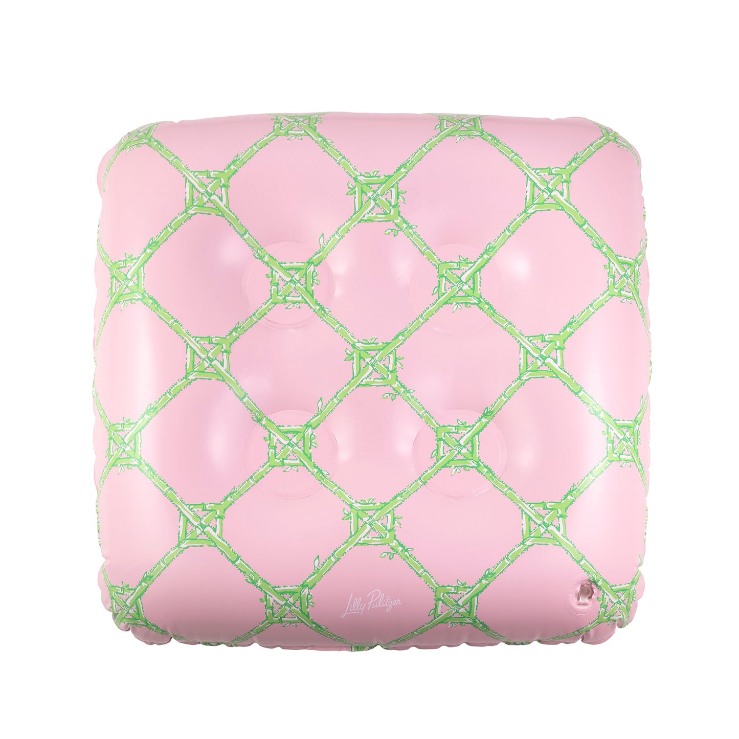 Pool Drink Float - Butterfly Trellis