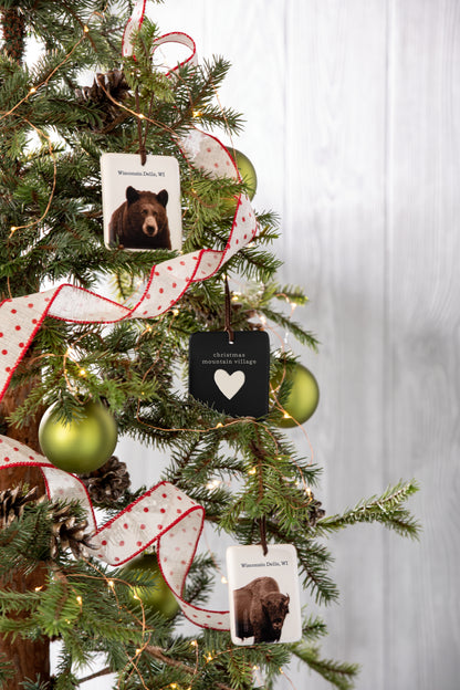 Magnetic Ornament - Latrobe PA