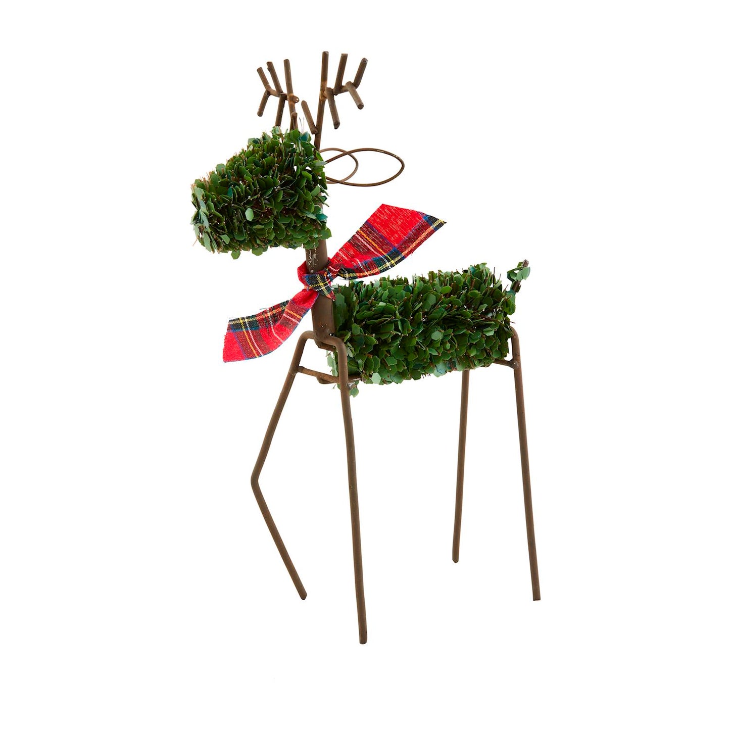 Boxwood Reindeer