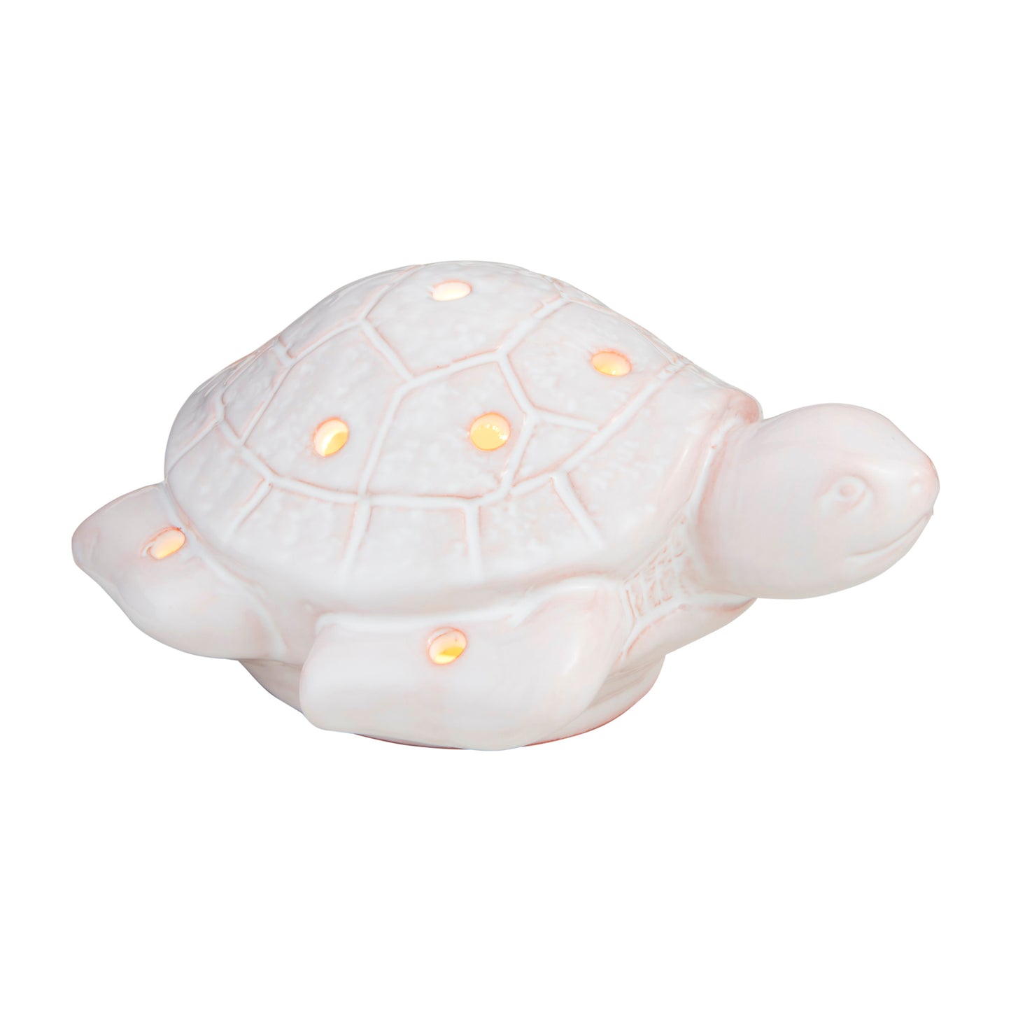 Light-Up Dish Sitter - Sea Turtle