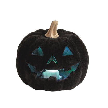 Light-Up Flocked Jack-O-Lantern - Black
