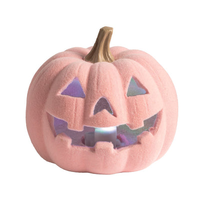 Light-Up Flocked Jack-O-Lantern - Pink