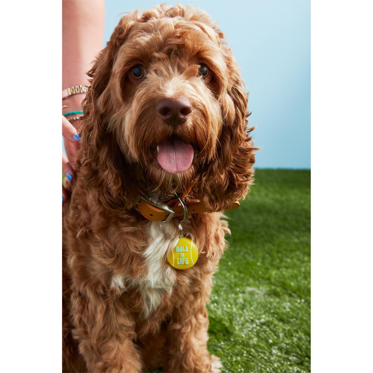 Light Up Dog Collar Charms