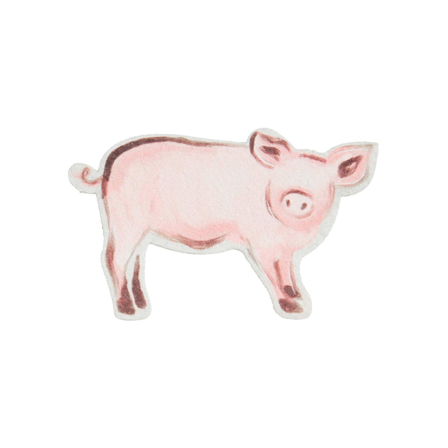 Farm Animal Pop-Up Sponge Set