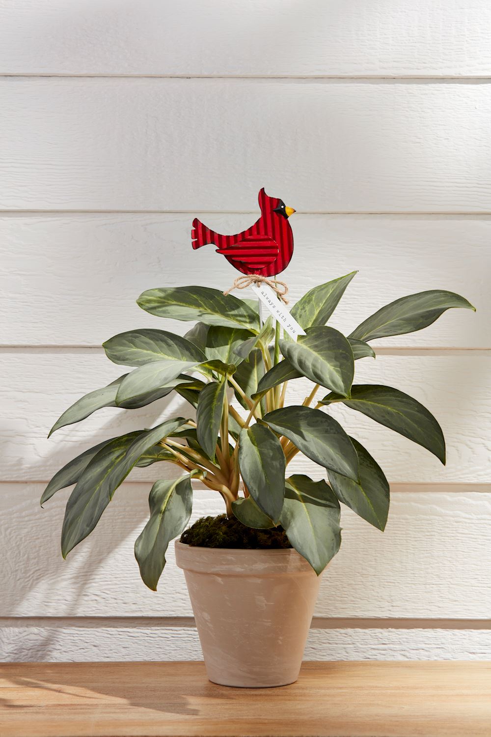 Garden Plant Stakes