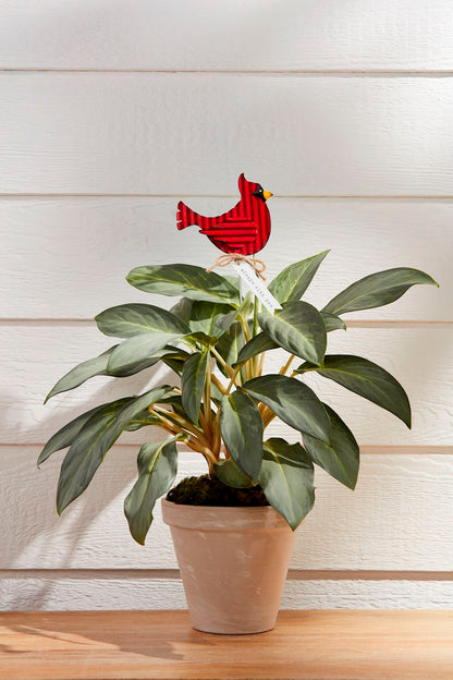 Garden Plant Stakes