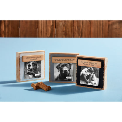 Pet Magnet Block Frame - White