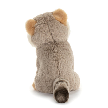 Raccoon Beanbag
