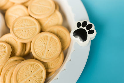 It's Paw-ty Time (Paw Print) Mini