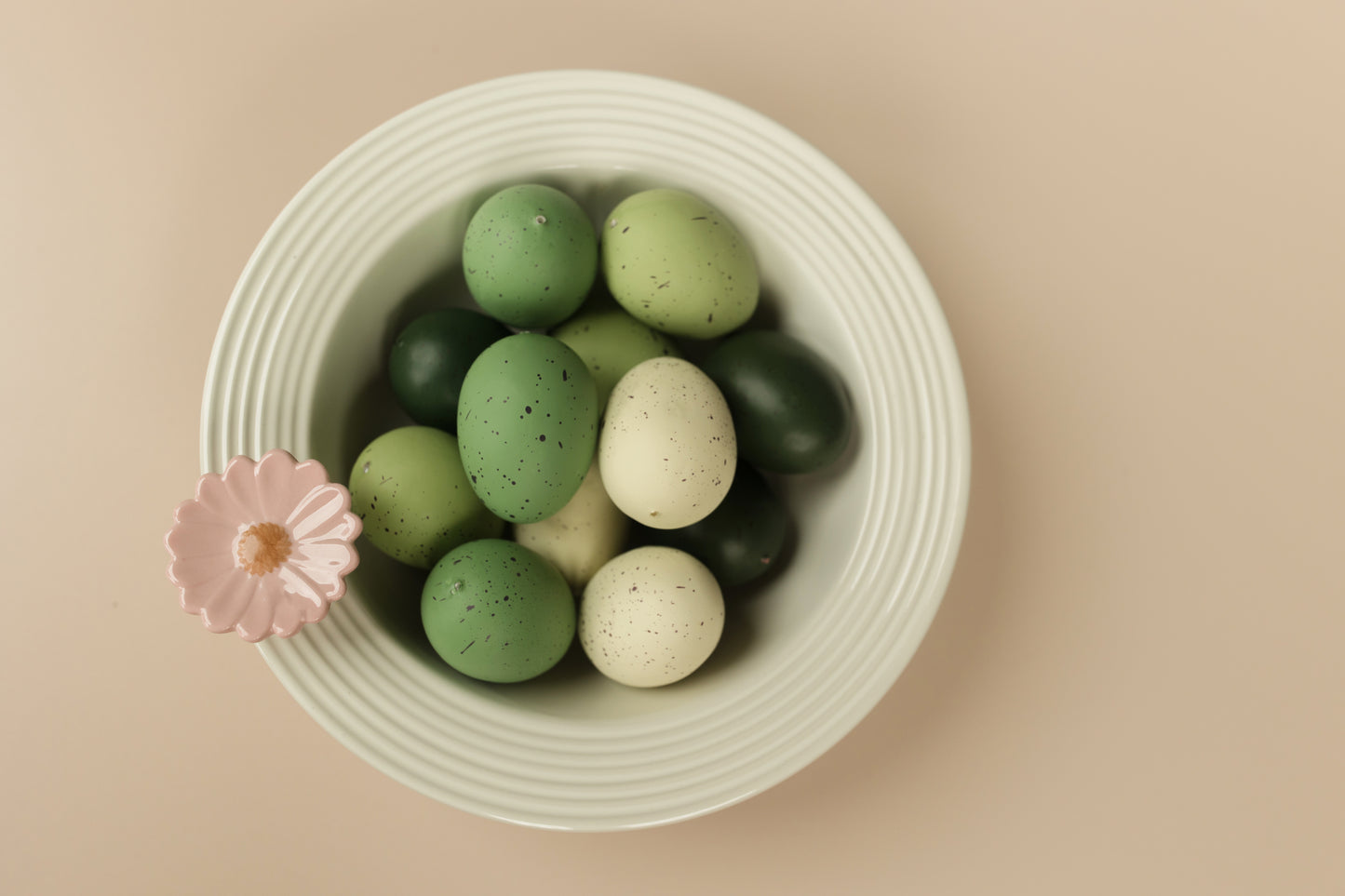 Flower Power (Gerber Daisy) Mini