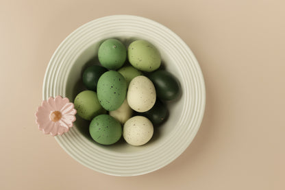 Flower Power (Gerber Daisy) Mini