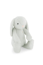 Load image into Gallery viewer, Penelope Snuggle Bunny - Willow