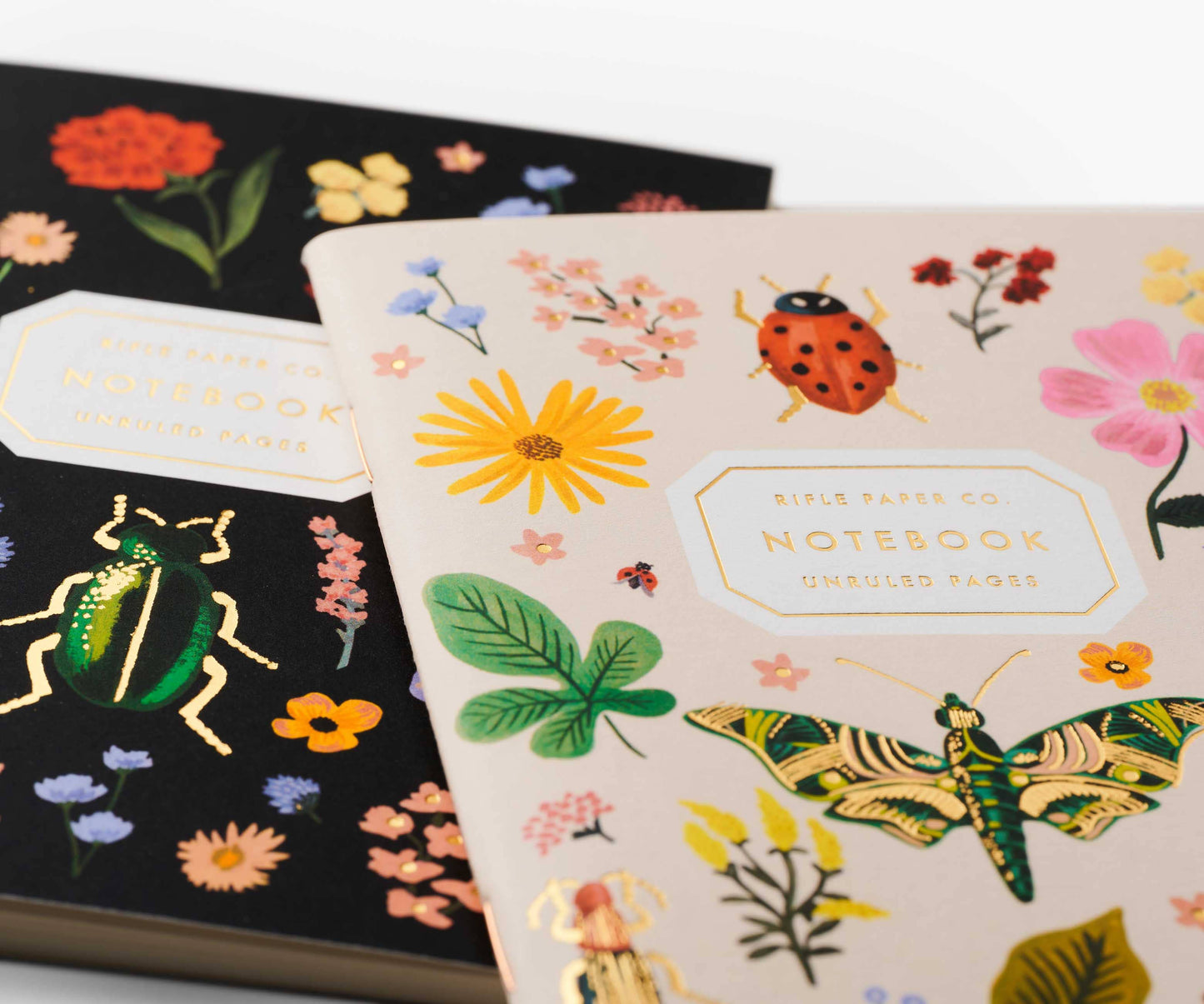 Curio Pocket Notebook Set