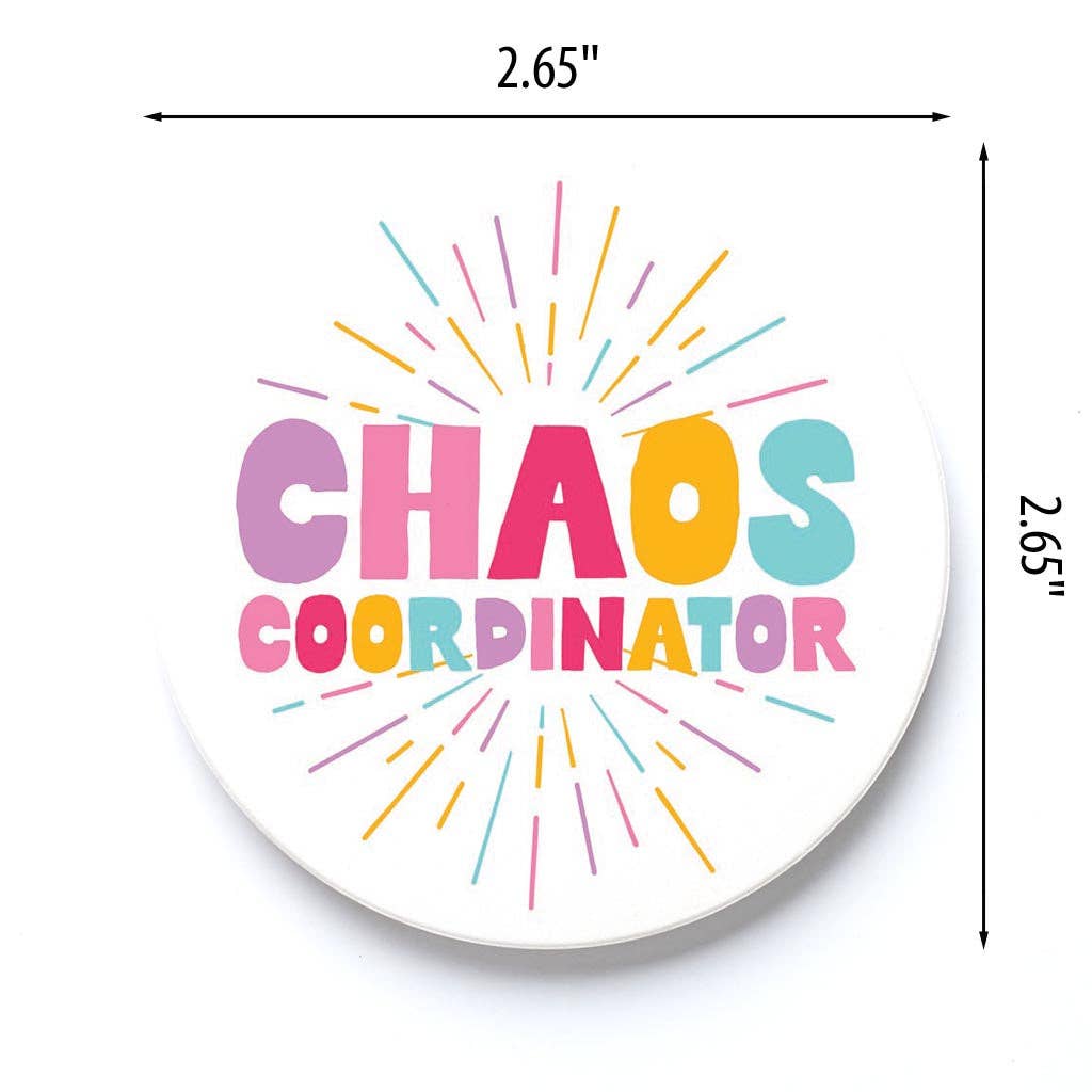 Chaos Coordinator Car Coaster