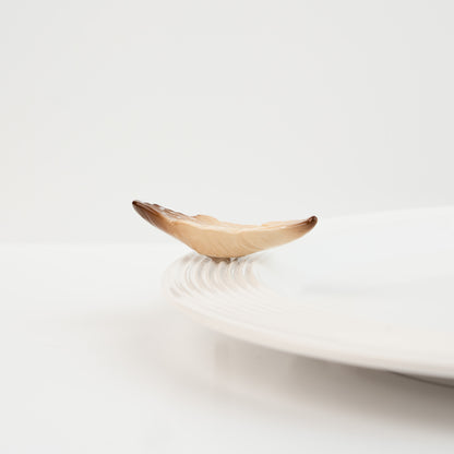 Creative Quill (Feather) Mini