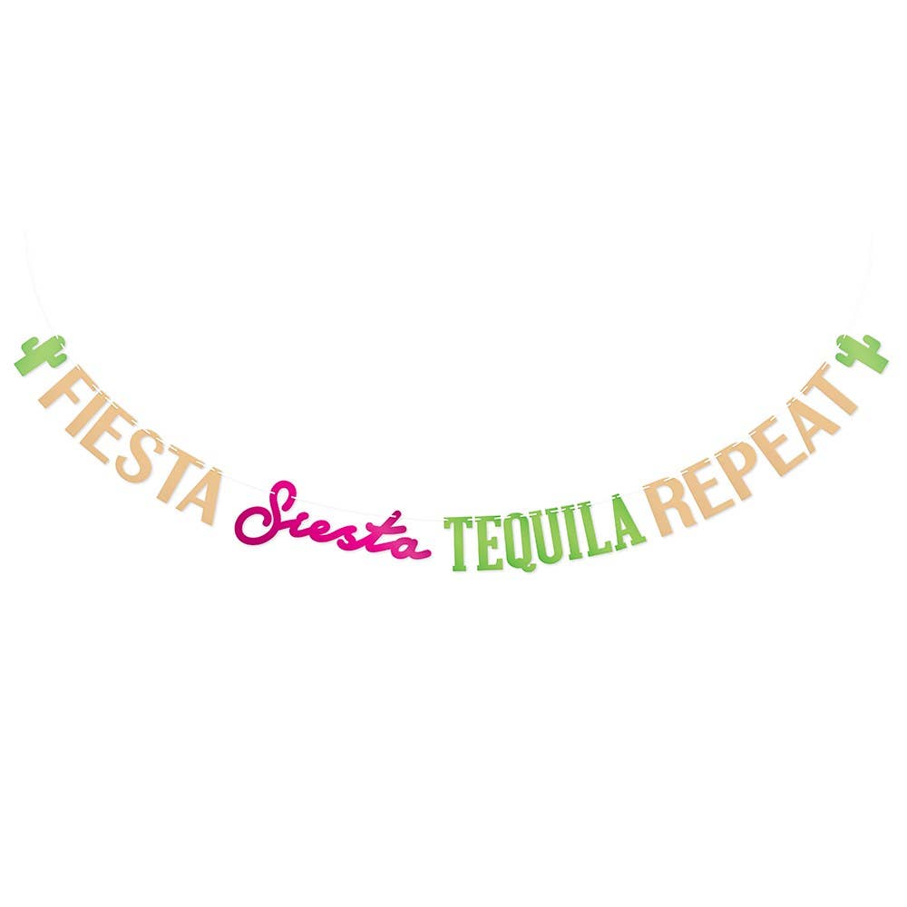 Paper Party Banner - Fiesta Siesta Tequila Repeat