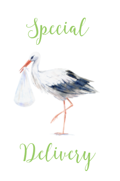 Special Delivery - New Baby Card