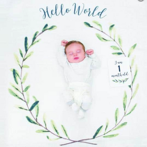 Baby's First "Hello World"
